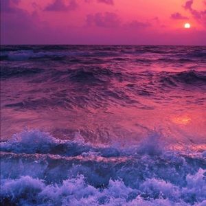 Meet your Posher, Chesney